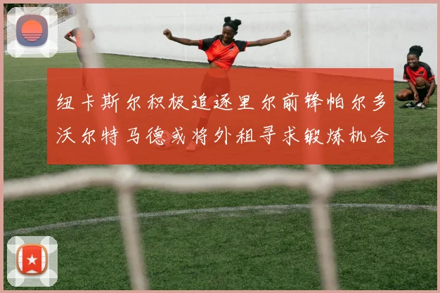 纽卡斯尔积极追逐里尔前锋帕尔多沃尔特马德或将外租寻求锻炼机会